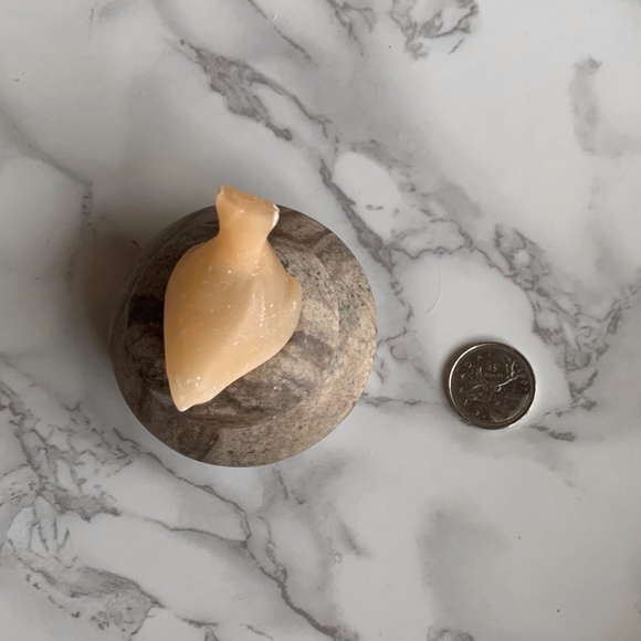 Vintage Carved Butterscotch Finial Bird Round Trinket Box - Picture 8 of 8